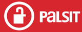 Palsit